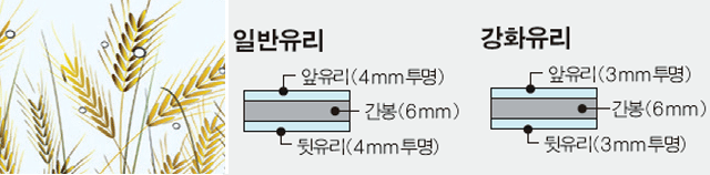 UV버닝글라스